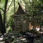 Tiny Cabin
