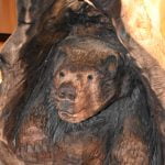 Tree island with bear carving